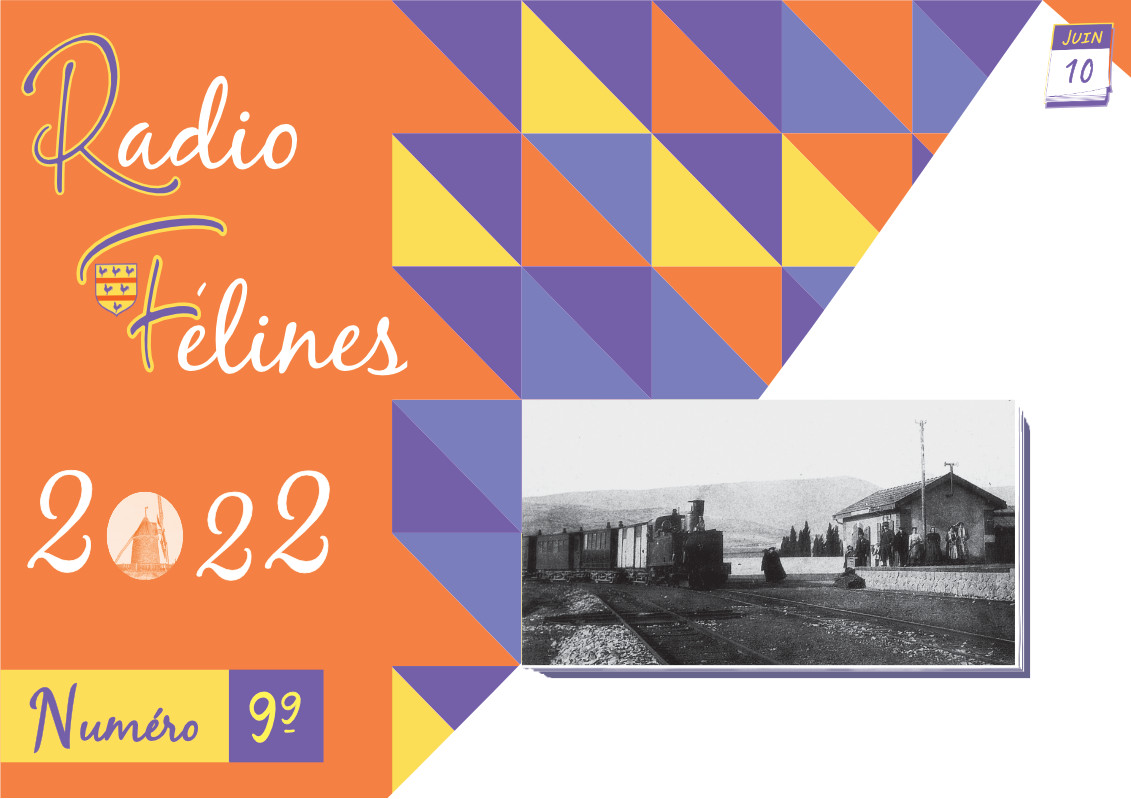 Radio Félines, les dernières infos du 10 juin 2022