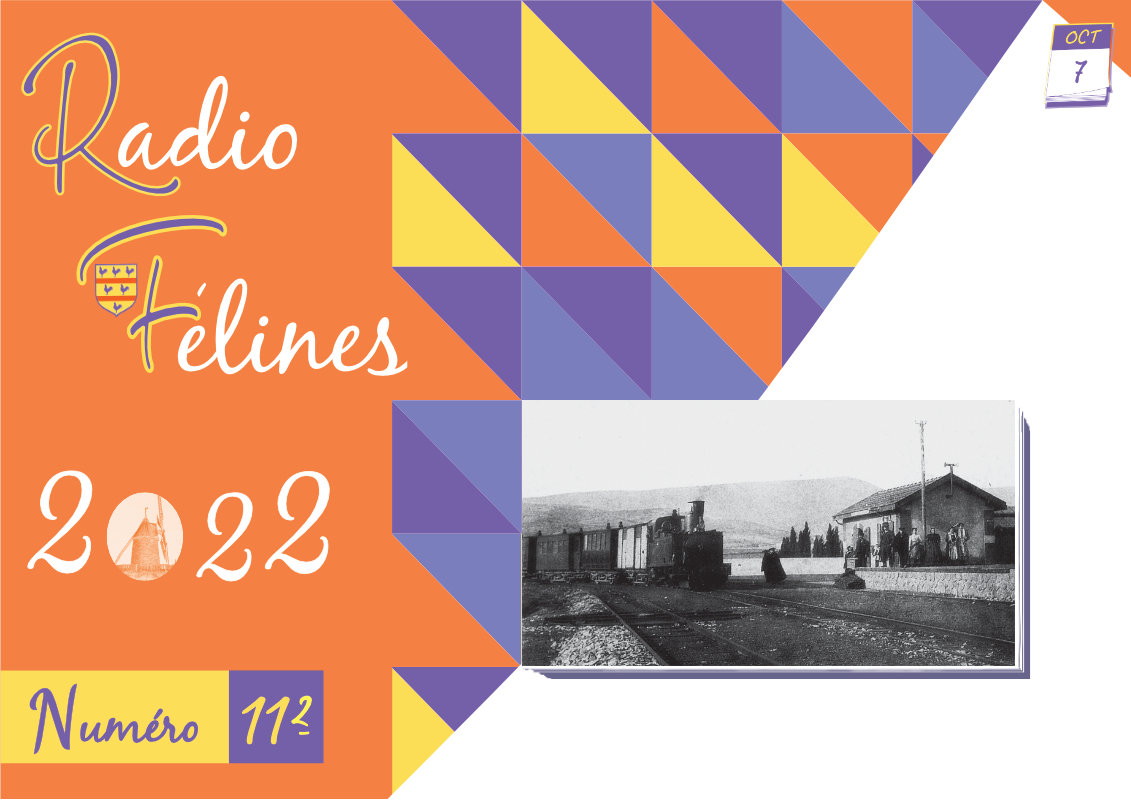 Radio Félines, les dernières infos du 7 octobre 2022