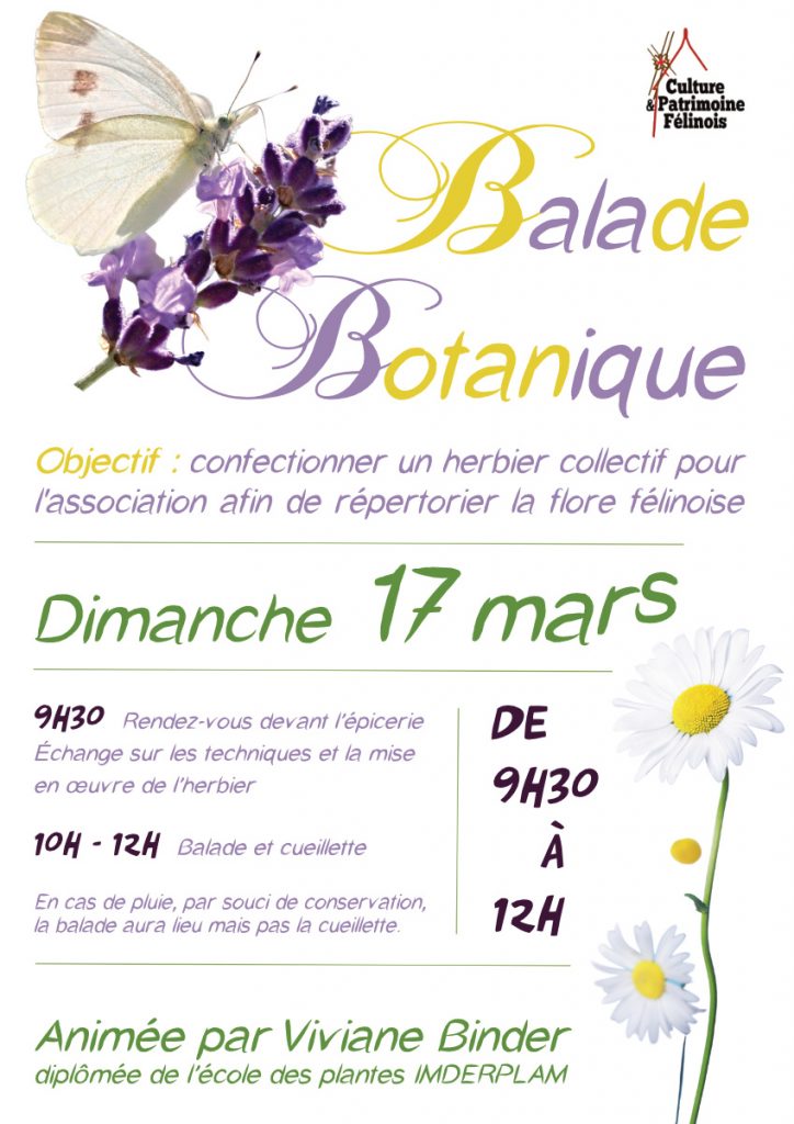 L'association Culture et Patrimoine Félinois vous invite à une balade botanique animée par Viviane Binder DIMANCHE 17 MARS 2024 de 9h30 à 12h dans le but de répertorier la flore félinoise.
