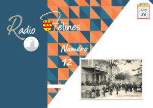 Radio Félines, les dernières infos du 26 juin 2020