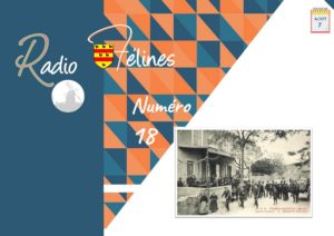 Radio Félines, les dernières infos du 7 août 2020